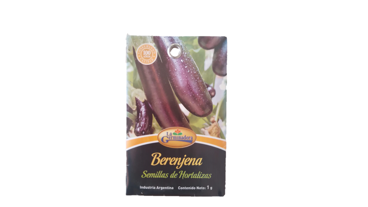 SEMILLA DE BERENJENA